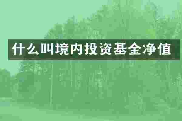 什么叫境内投资基金净值
