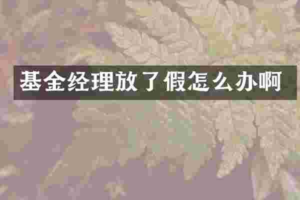基金经理放了假怎么办啊