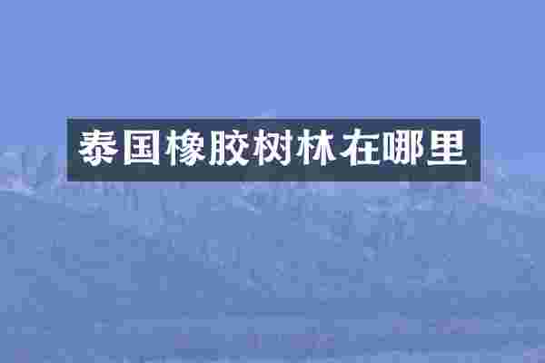 泰国橡胶树林在哪里