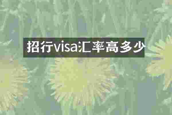 招行visa汇率高多少
