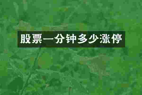 股票一分钟多少涨停