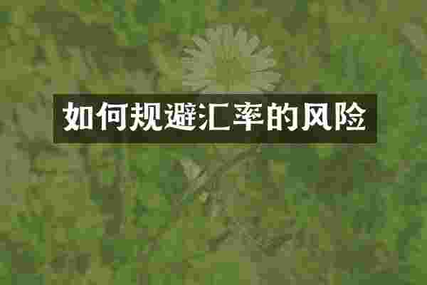 如何规避汇率的风险