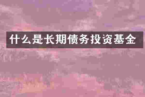 什么是长期债务投资基金