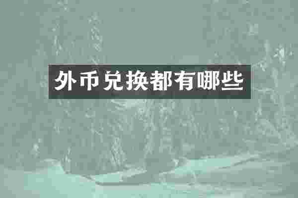 外币兑换都有哪些