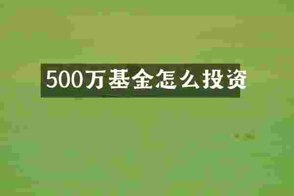 500万基金怎么投资