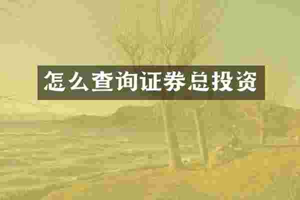 怎么查询证券总投资