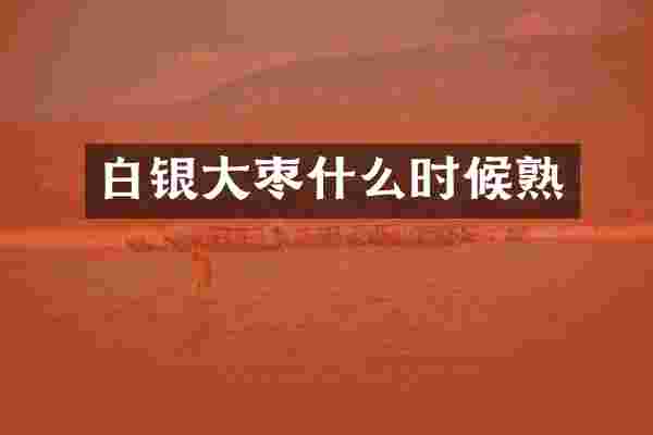 白银大枣什么时候熟