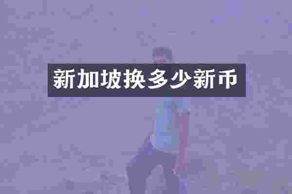 新加坡换多少新币