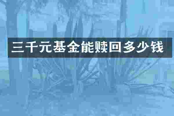 三千元基金能赎回多少钱