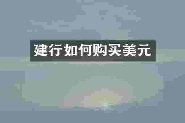 建行如何购买美元
