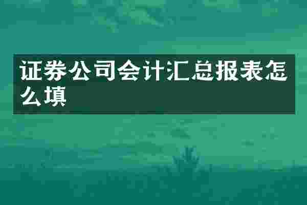 证券公司会计汇总报表怎么填