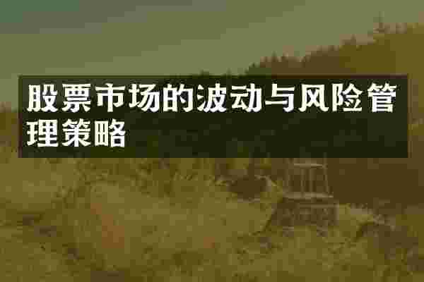 股票市场的波动与风险管理策略