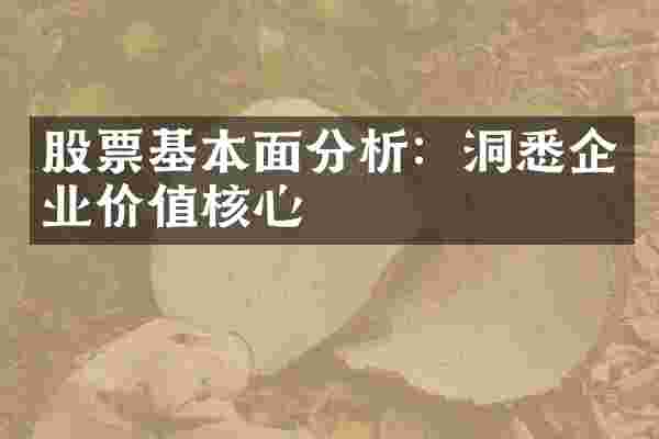 股票基本面分析：洞悉企业价值核心