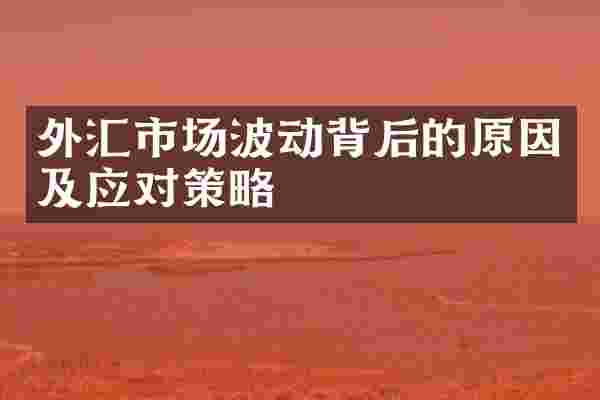 外汇市场波动背后的原因及应对策略
