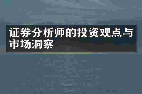 证券分析师的投资观点与市场洞察