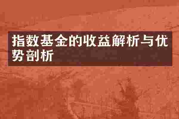 指数基金的收益解析与优势剖析