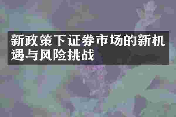 新政策下证券市场的新机遇与风险挑战