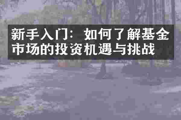 新手入门：如何了解基金市场的投资机遇与挑战？
