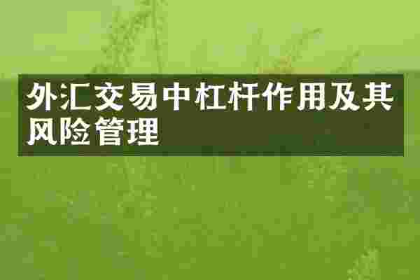 外汇交易中杠杆作用及其风险管理