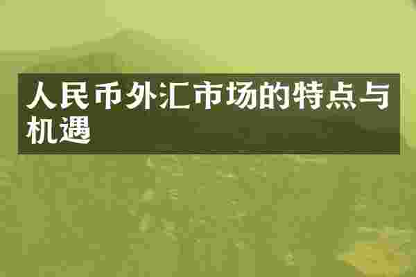 人民币外汇市场的特点与机遇
