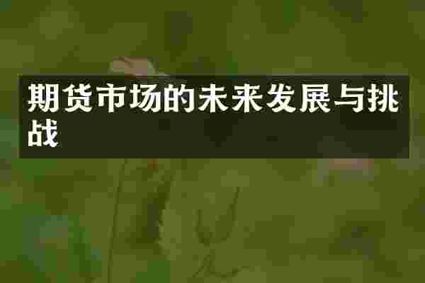 期货市场的未来发展与挑战