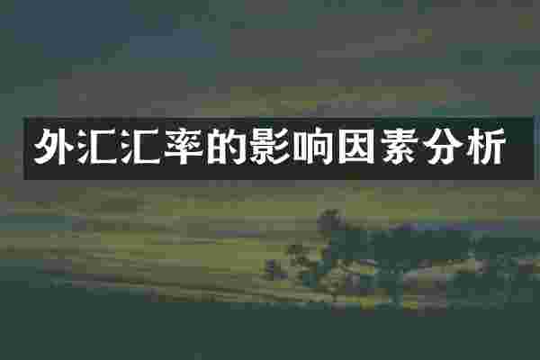 外汇汇率的影响因素分析