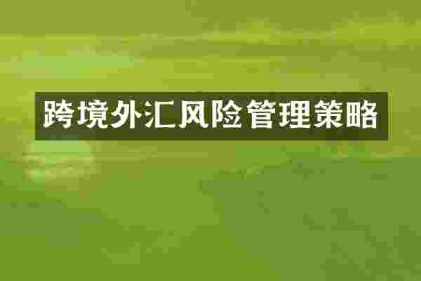 跨境外汇风险管理策略