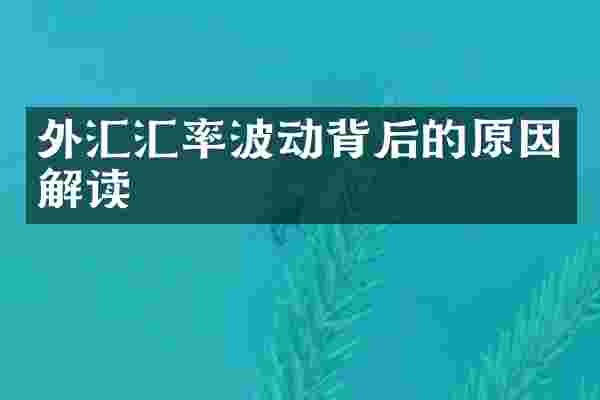 外汇汇率波动背后的原因解读