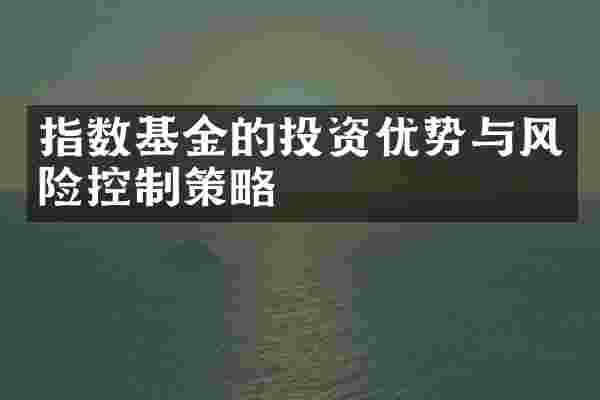 指数基金的投资优势与风险控制策略