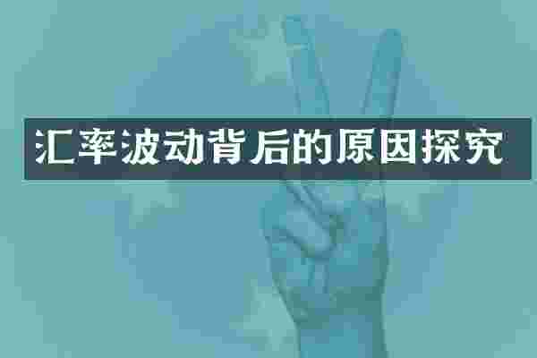 汇率波动背后的原因探究