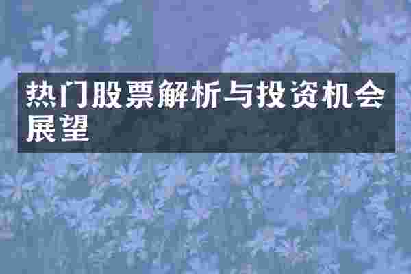 热门股票解析与投资机会展望