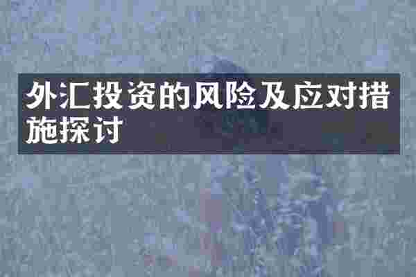 外汇投资的风险及应对措施探讨