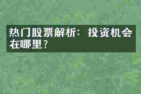 热门股票解析：投资机会在哪里？