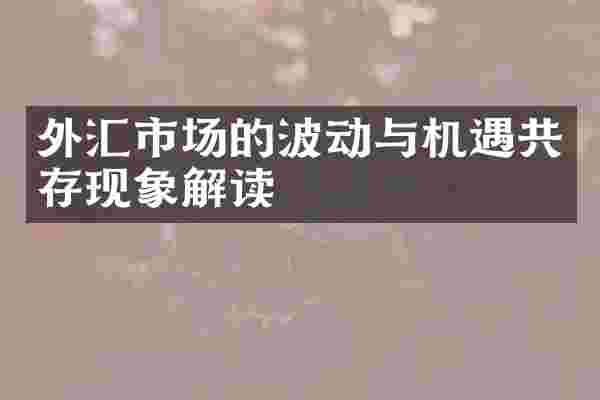 外汇市场的波动与机遇共存现象解读