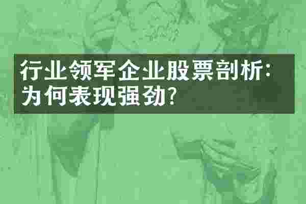 行业领军企业股票剖析：为何表现强劲？