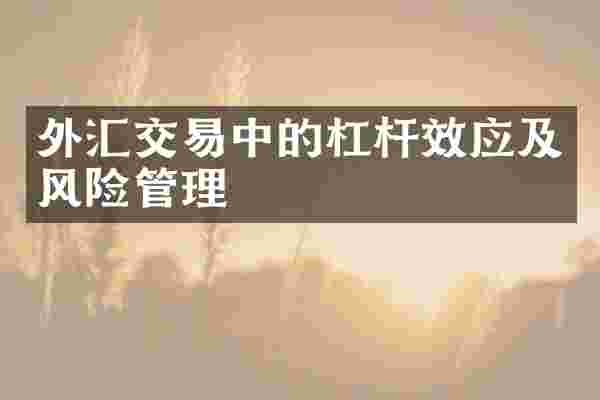 外汇交易中的杠杆效应及风险管理