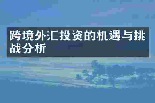 跨境外汇投资的机遇与挑战分析