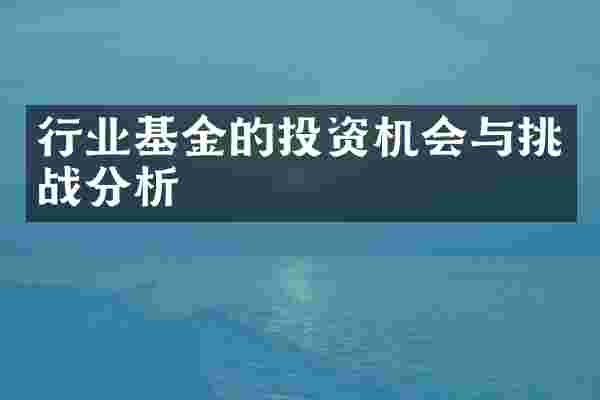 行业基金的投资机会与挑战分析