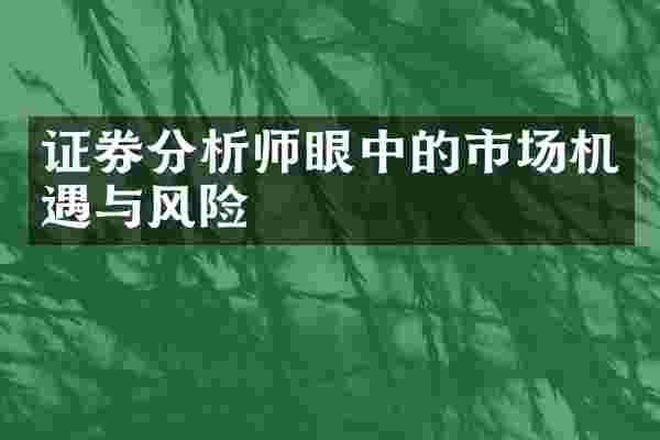 证券分析师眼中的市场机遇与风险