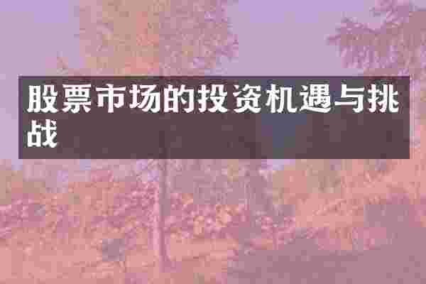 股票市场的投资机遇与挑战