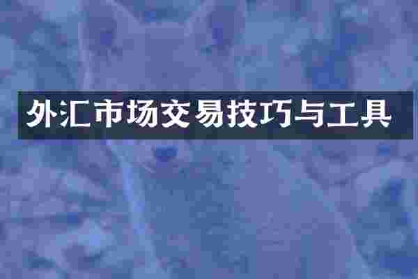 外汇市场交易技巧与工具
