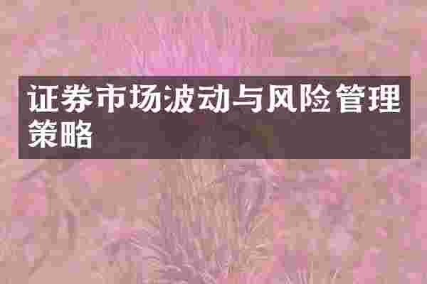 证券市场波动与风险管理策略