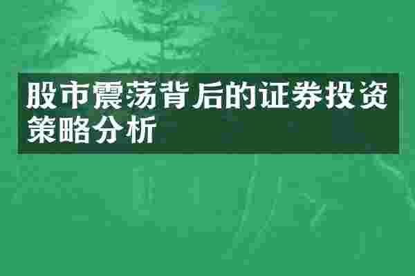 股市震荡背后的证券投资策略分析