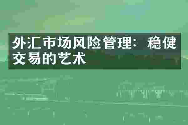 外汇市场风险管理：稳健交易的艺术