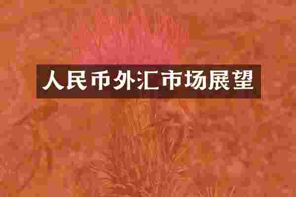 人民币外汇市场展望