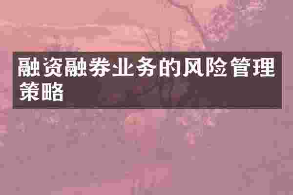 融资融券业务的风险管理策略