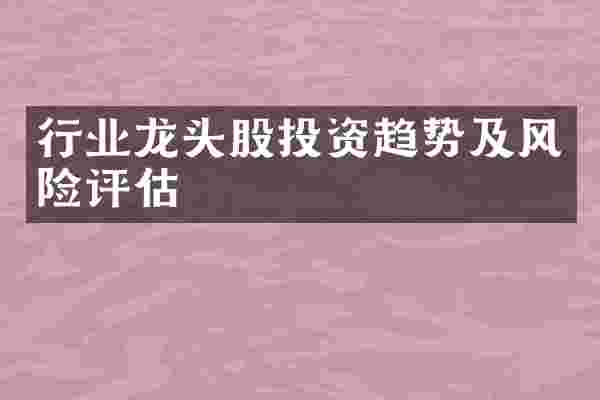 行业龙头股投资趋势及风险评估