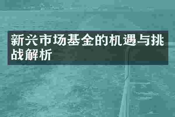 新兴市场基金的机遇与挑战解析