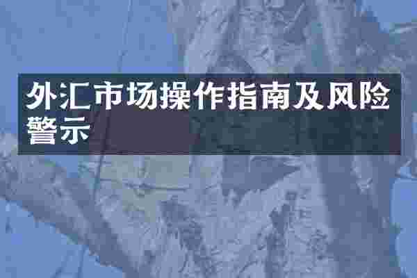 外汇市场操作指南及风险警示