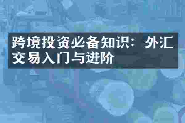 跨境投资必备知识：外汇交易入门与进阶
